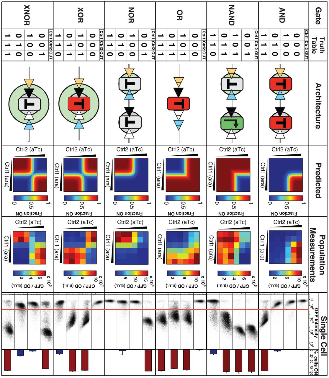 transcriptorfig